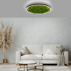 15392-66 GREEN RITUS LAMPA SUFITOWA NATURALNY MECH