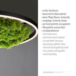 15392-66 GREEN RITUS LAMPA SUFITOWA NATURALNY MECH
