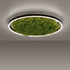 15392-66 GREEN RITUS LAMPA SUFITOWA NATURALNY MECH