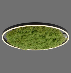 15392-66 GREEN RITUS LAMPA SUFITOWA NATURALNY MECH