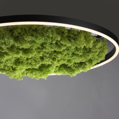 15392-66 GREEN RITUS LAMPA SUFITOWA NATURALNY MECH