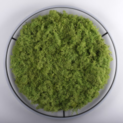 15392-66 GREEN RITUS LAMPA SUFITOWA NATURALNY MECH