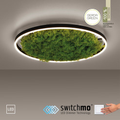 15392-66 GREEN RITUS LAMPA SUFITOWA NATURALNY MECH