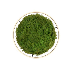 15392-66 GREEN RITUS LAMPA SUFITOWA NATURALNY MECH