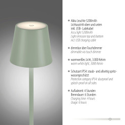 19250-43 EURIA LAMPA STOŁOWA ZIELONY