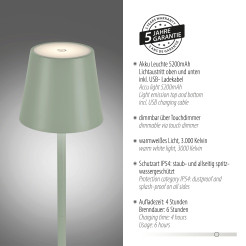 19250-43 EURIA LAMPA STOŁOWA ZIELONY