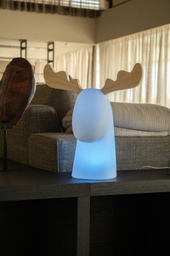 3139 RUDY 35 LAMPA ZEWNĘTRZNA BIAŁY