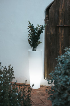 3342 FICUS 80 CABLE DONICZKA Z PODŚWIETLENIEM BIAŁA