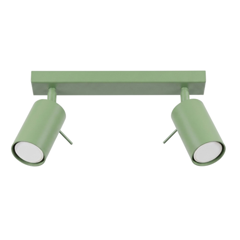 Plafon RING 2 szałwiowy SL.2178