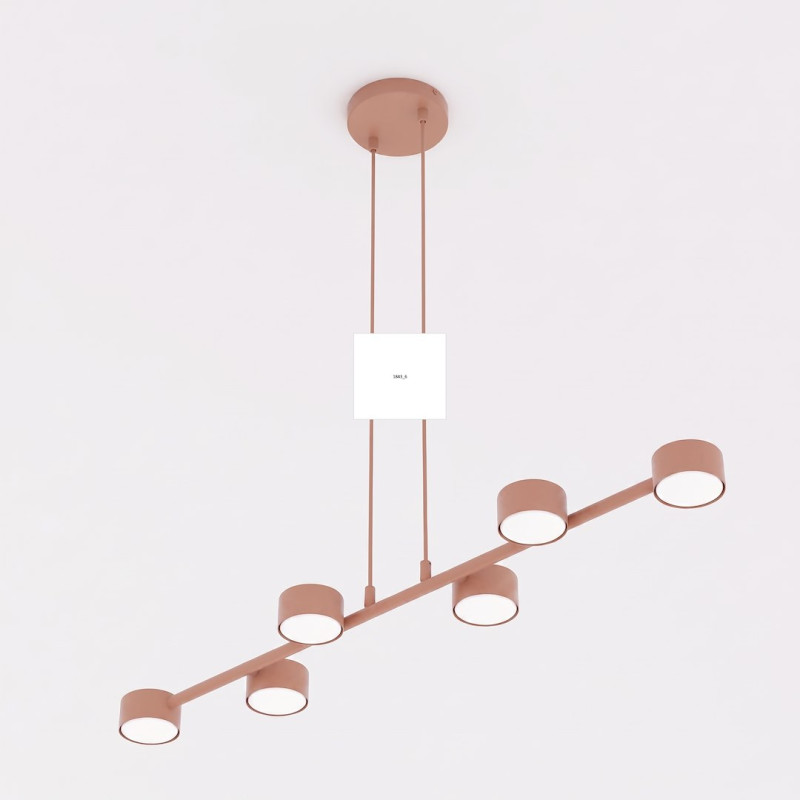 6 CORAL 1843/6