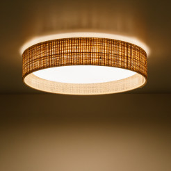 DEMI RAFIA LED LAMPA SUFITOWA 11854
