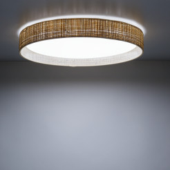 DEMI RAFIA LED LAMPA SUFITOWA 11855
