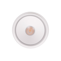 MAXLIGHT C0265 LAMPA SUFITOWA VECTOR 10W BIAŁA
