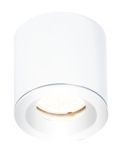 MAXLIGHT C0215 LAMPA SUFITOWA FORM BIAŁA GU10 IP65